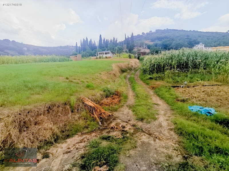 Akçaabat Zaferli Mah. Satılık Arazi 736 Metrekare — fotoğraf 23