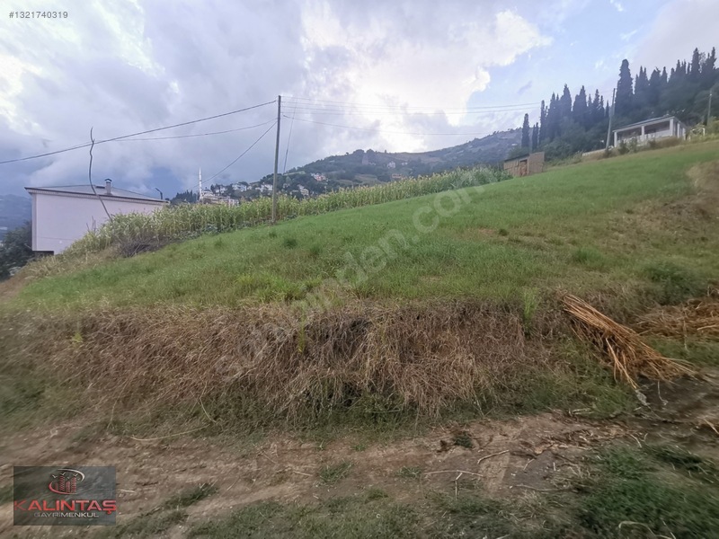 Akçaabat Zaferli Mah. Satılık Arazi 736 Metrekare — fotoğraf 24