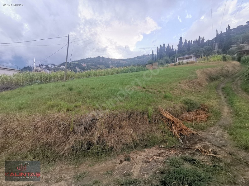 Akçaabat Zaferli Mah. Satılık Arazi 736 Metrekare — fotoğraf 25