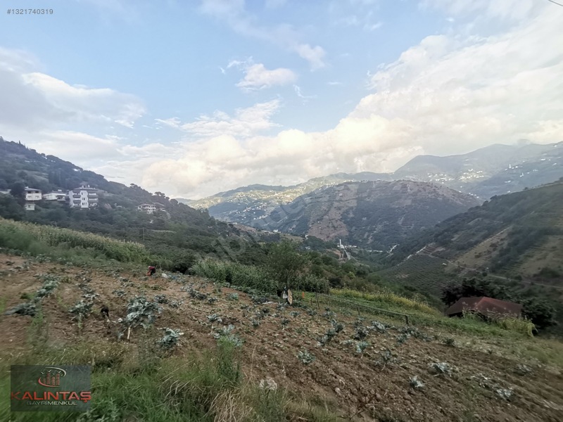 Akçaabat Zaferli Mah. Satılık Arazi 736 Metrekare — fotoğraf 26
