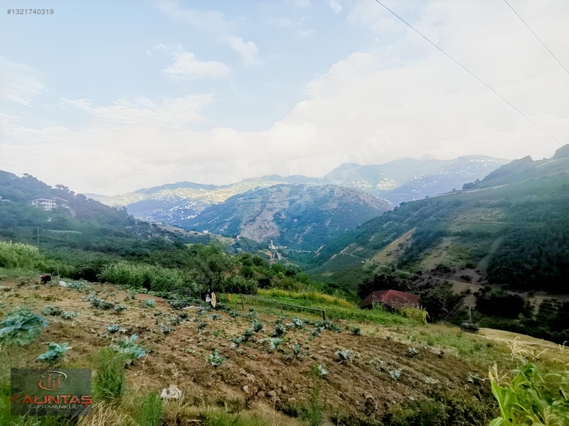 Akçaabat Zaferli Mah. Satılık Arazi 736 Metrekare — fotoğraf 28