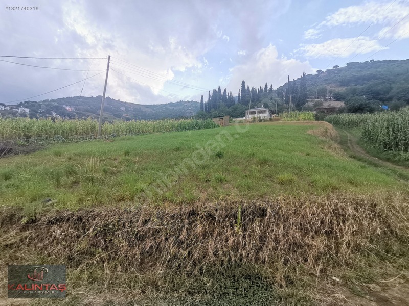 Akçaabat Zaferli Mah. Satılık Arazi 736 Metrekare — fotoğraf 30