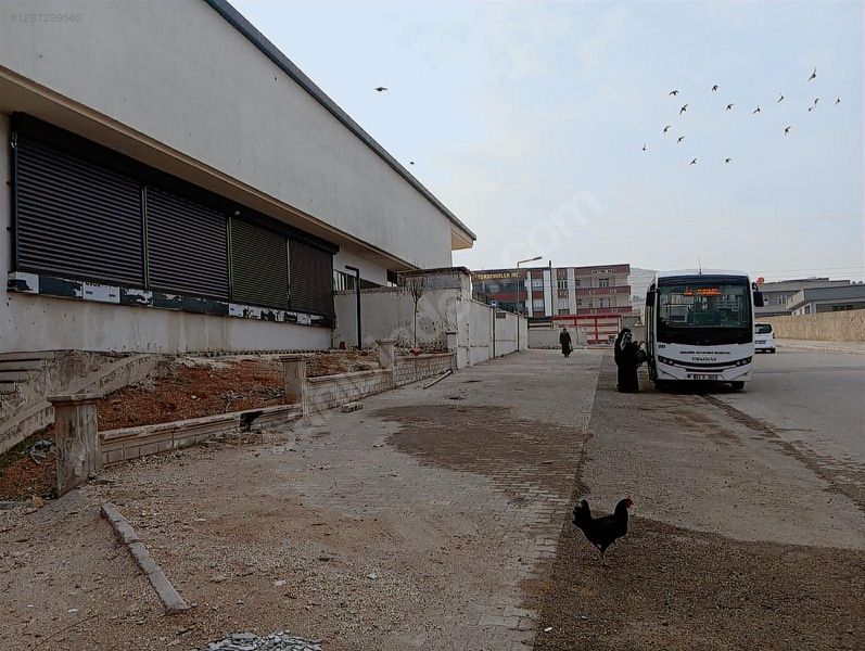 Resmi Tapu Devir- 104 M2 Her İşe Uygun Eyyubiye Avm — fotoğraf 6