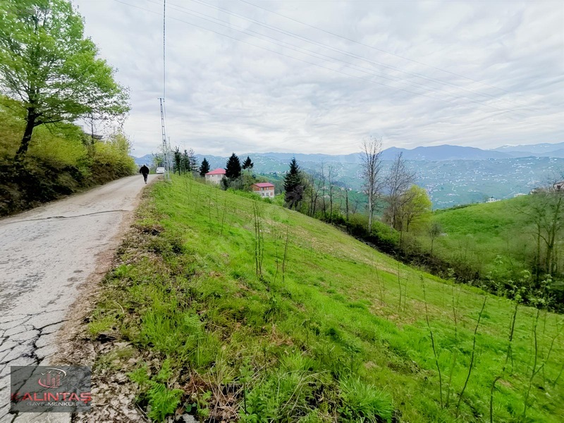 Uğurlu Da Satılık Arazi 1.345 Metrekare