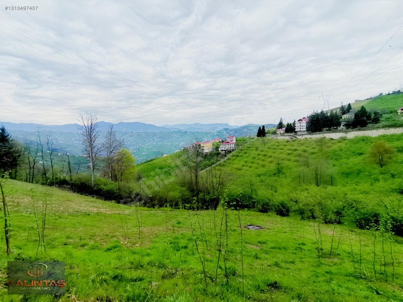 Uğurlu Da Satılık Arazi 1.345 Metrekare — fotoğraf 2