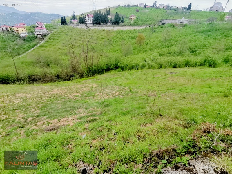 Uğurlu Da Satılık Arazi 1.345 Metrekare — fotoğraf 4
