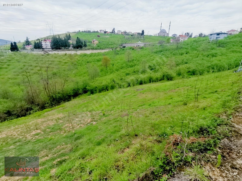 Uğurlu Da Satılık Arazi 1.345 Metrekare — fotoğraf 5