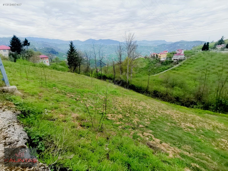 Uğurlu Da Satılık Arazi 1.345 Metrekare — fotoğraf 8