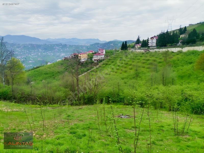 Uğurlu Da Satılık Arazi 1.345 Metrekare — fotoğraf 10