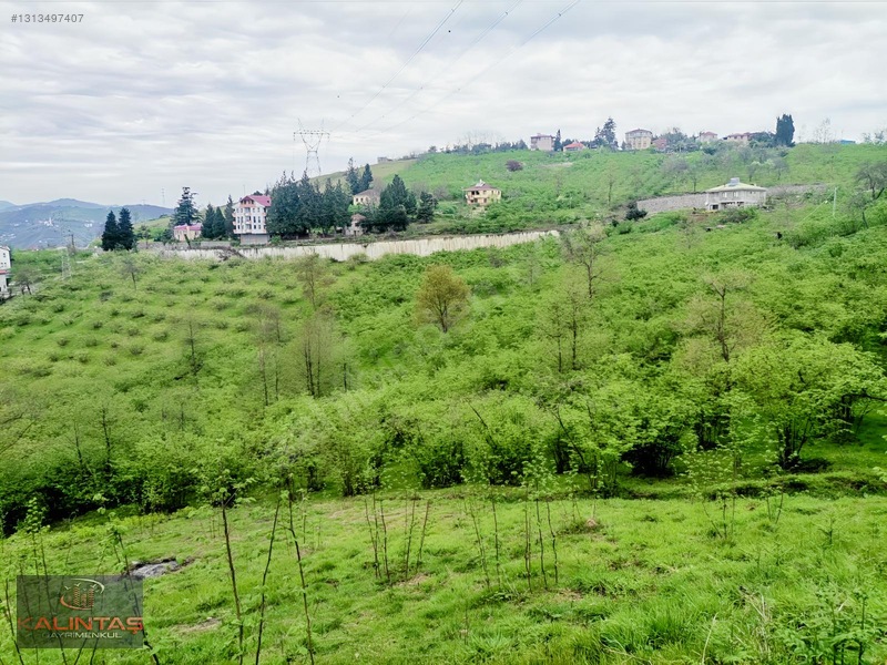 Uğurlu Da Satılık Arazi 1.345 Metrekare — fotoğraf 11