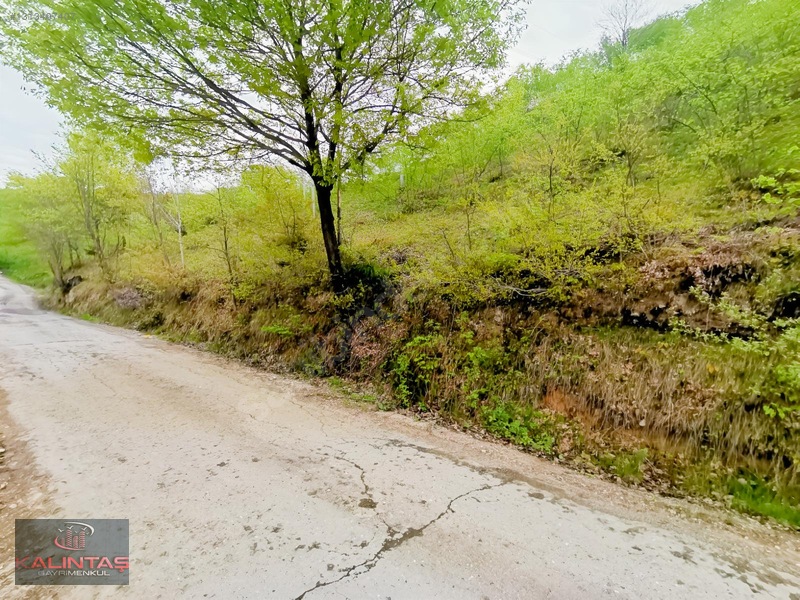 Uğurlu Da Satılık Arazi 1.345 Metrekare — fotoğraf 12