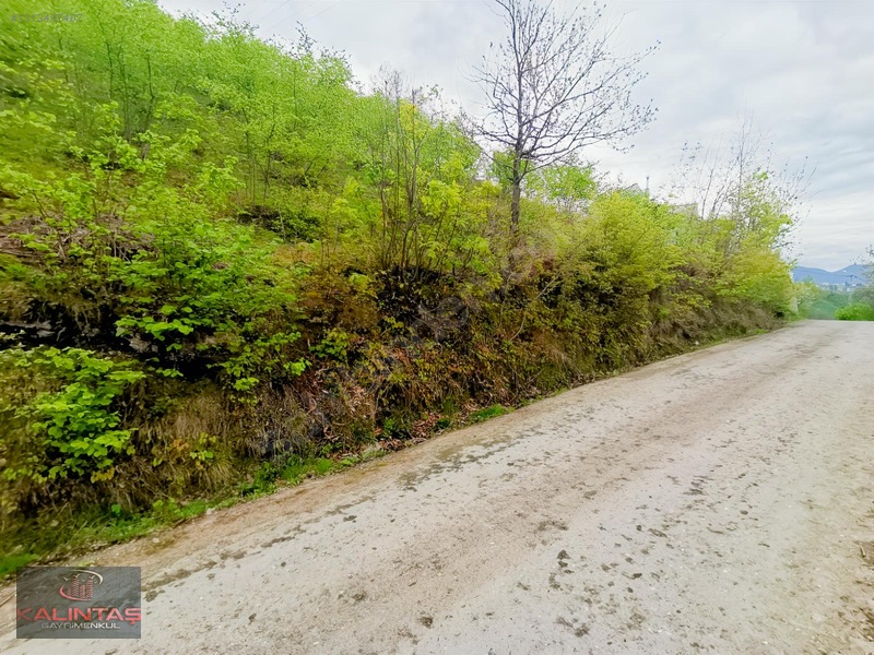 Uğurlu Da Satılık Arazi 1.345 Metrekare — fotoğraf 13