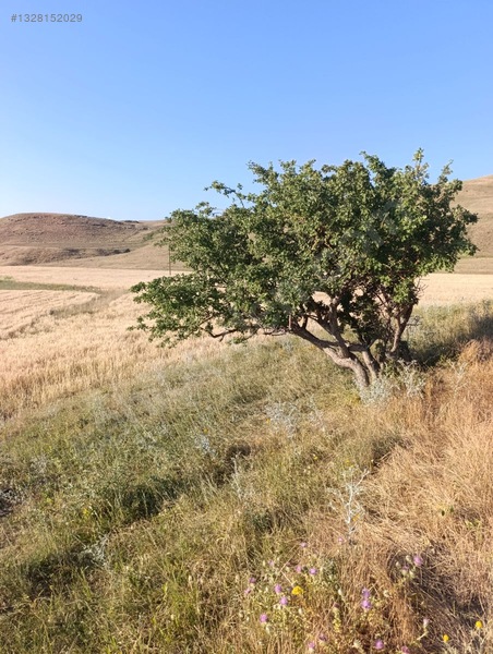 Kevenli Satılık İmarlı Arsa — fotoğraf 6