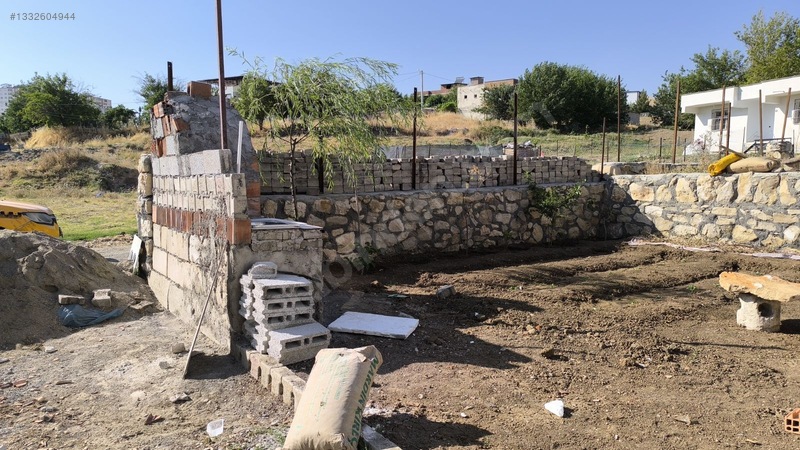 Satılık Saray Yavrusu — fotoğraf 2