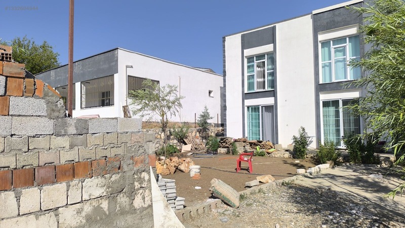 Satılık Saray Yavrusu — fotoğraf 3