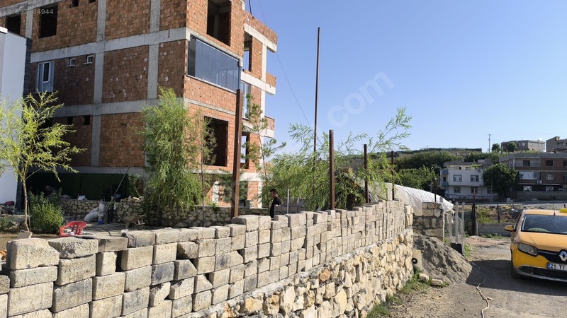 Satılık Saray Yavrusu — fotoğraf 4