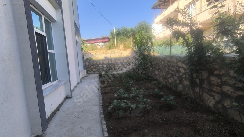 Satılık Saray Yavrusu — fotoğraf 8