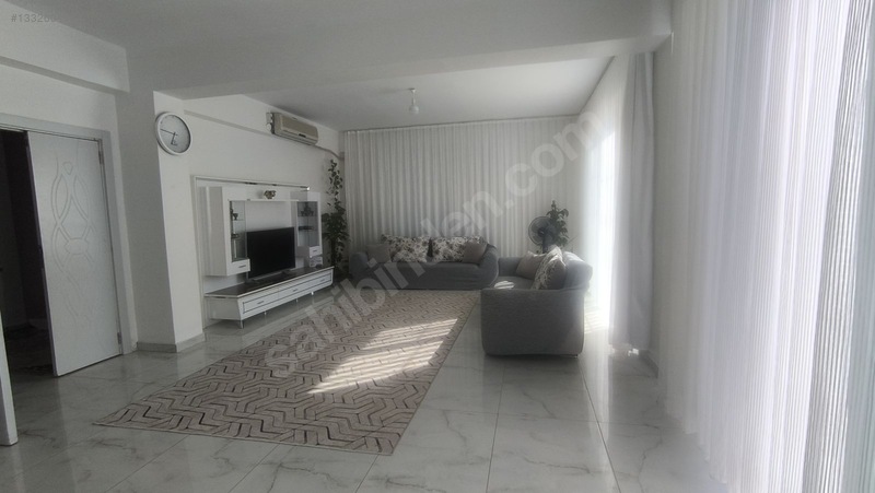 Satılık Saray Yavrusu — fotoğraf 11