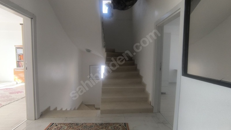 Satılık Saray Yavrusu — fotoğraf 17