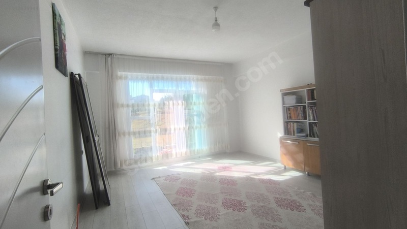 Satılık Saray Yavrusu — fotoğraf 18