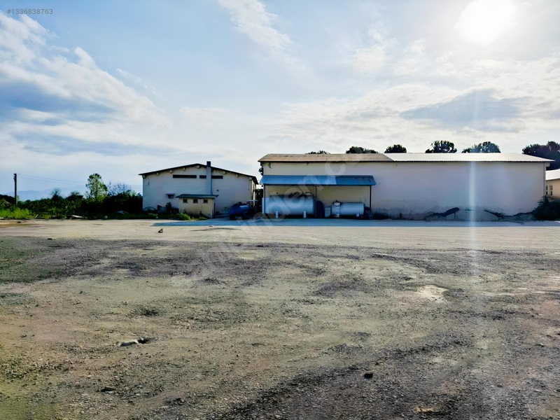 Eski Emlaktan Düzce Çilimli Ulucaminde 512m2 İmarlı Arsa — fotoğraf 10