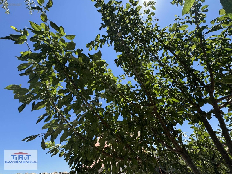 Yuntdağ Köseler Mahallesinde Satılık 625 M² Yaşam Alanı — fotoğraf 26