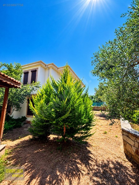 İstanbul Emlaktan Sarımsaklı Zeytin Arasında Geniş Bahçeli Villa — fotoğraf 21
