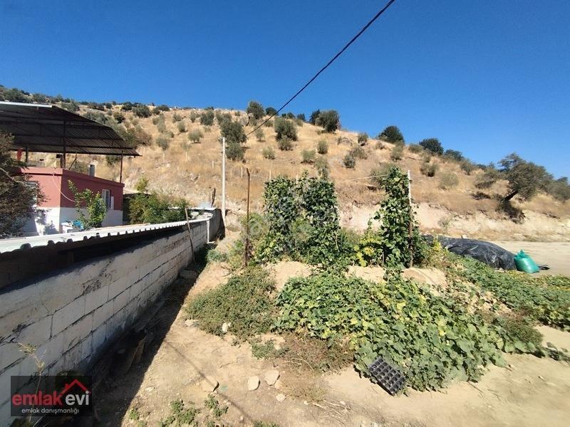 Emlak Evi'nden Boğaziçi Köyünde Satılık Arsa — fotoğraf 9