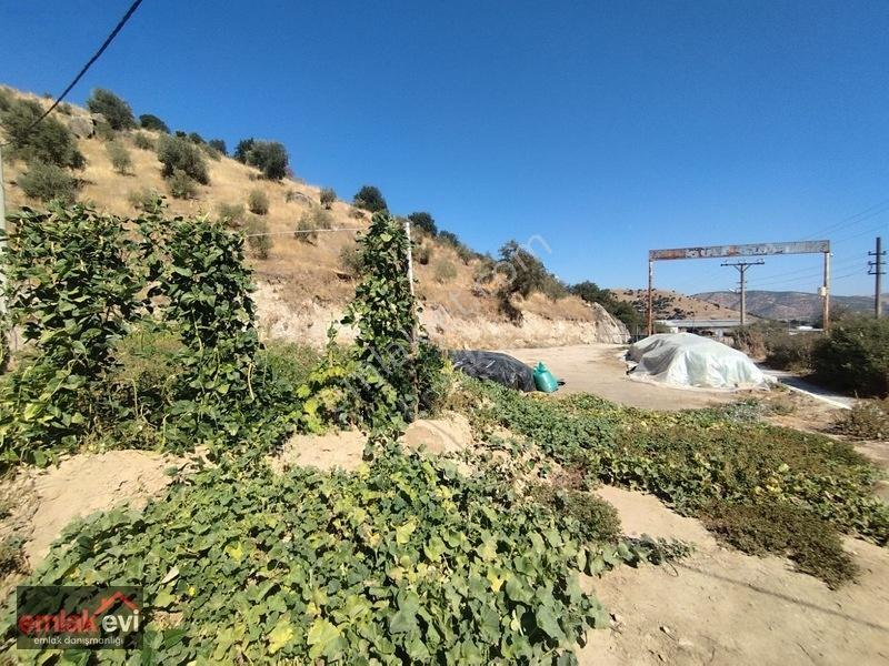 Emlak Evi'nden Boğaziçi Köyünde Satılık Arsa — fotoğraf 10