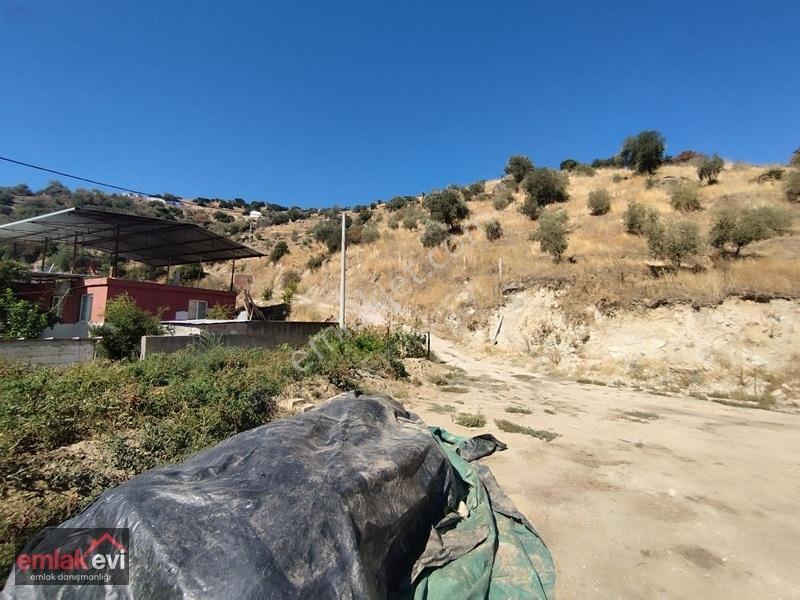Emlak Evi'nden Boğaziçi Köyünde Satılık Arsa — fotoğraf 13