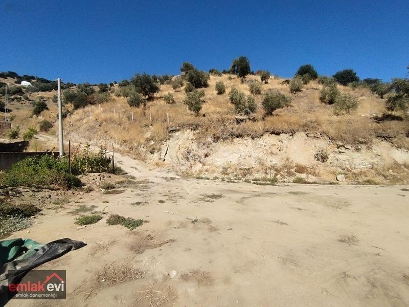 Emlak Evi'nden Boğaziçi Köyünde Satılık Arsa — fotoğraf 16