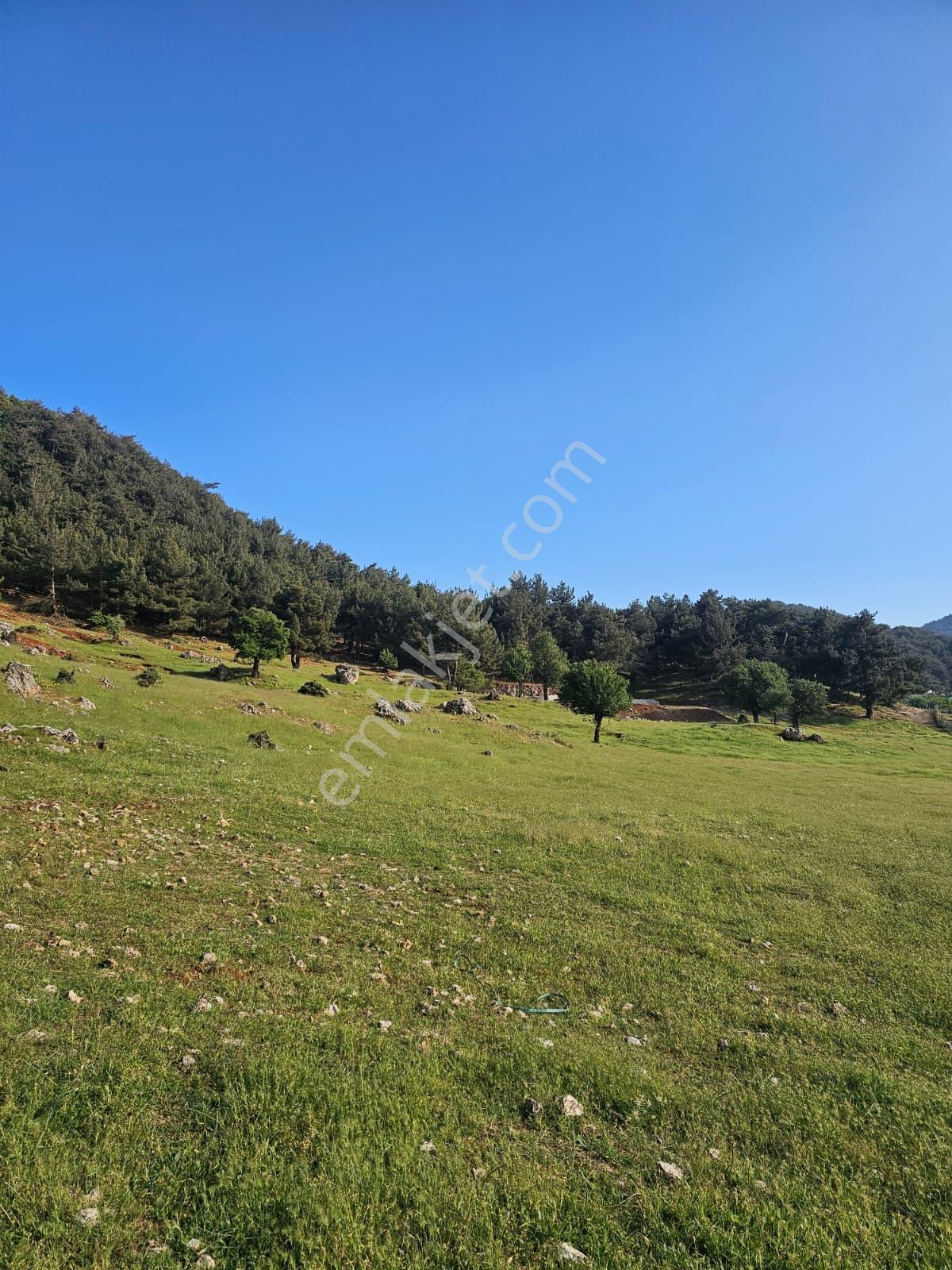 Alan Yaylası'nda 2295 M² Masrafsız İyi Konumda Parsel — fotoğraf 10