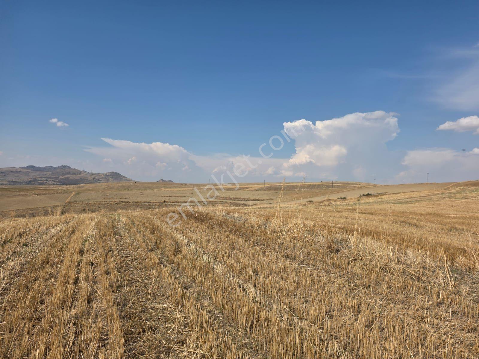Hilal İnşaat Emlak Tan Mamak Bayındır Mah. 535metre İmarsız Arsa — fotoğraf 3