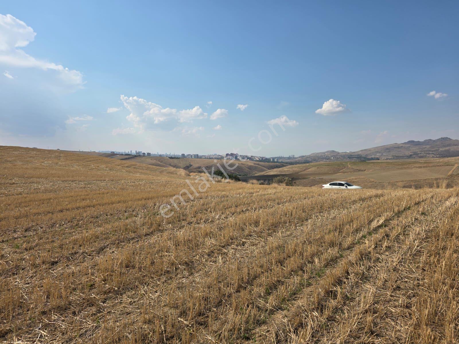 Hilal İnşaat Emlak Tan Mamak Bayındır Mah. 535metre İmarsız Arsa — fotoğraf 10