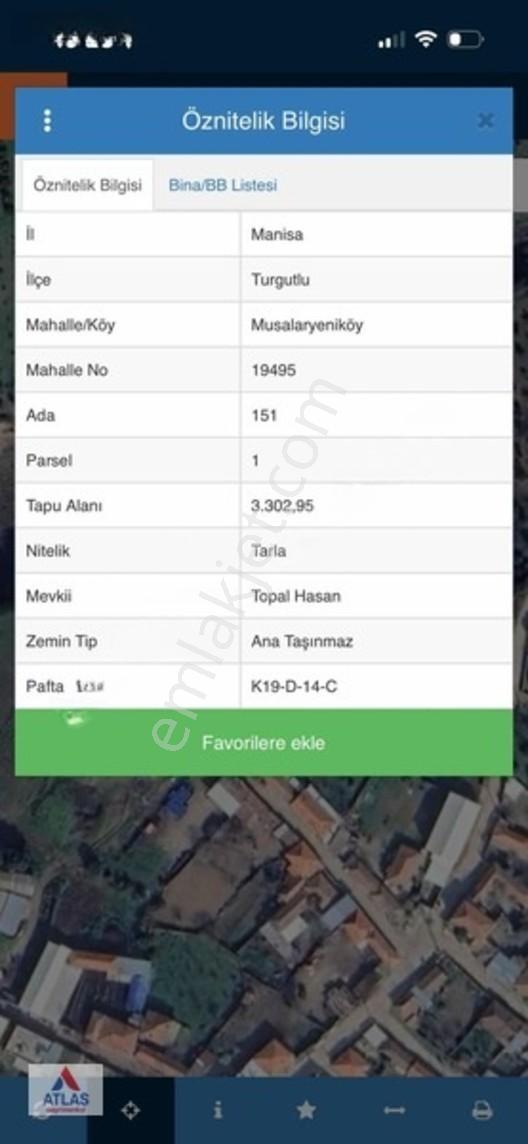 Atlas'Tan Musalaryeniköy De Mükemmel Zeytinlik