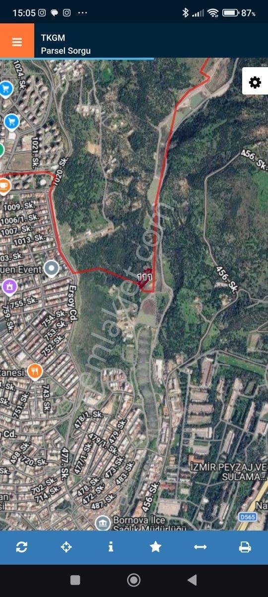İzmir Bornova Eğridere Mevkii Satılık 3200 M2 Zeytinlik