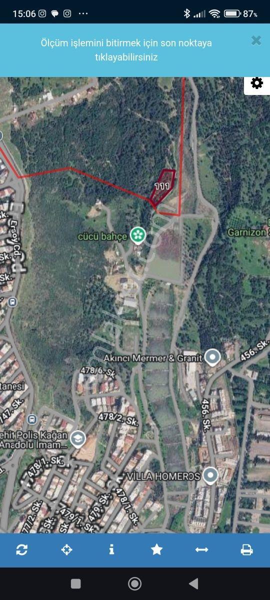 İzmir Bornova Eğridere Mevkii Satılık 3200 M2 Zeytinlik — fotoğraf 4