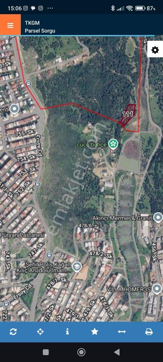 İzmir Bornova Eğridere Mevkii Satılık 3200 M2 Zeytinlik — fotoğraf 7