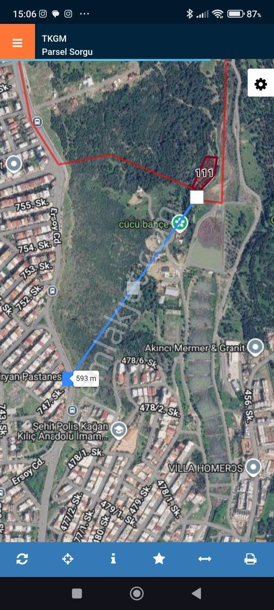 İzmir Bornova Eğridere Mevkii Satılık 3200 M2 Zeytinlik — fotoğraf 9