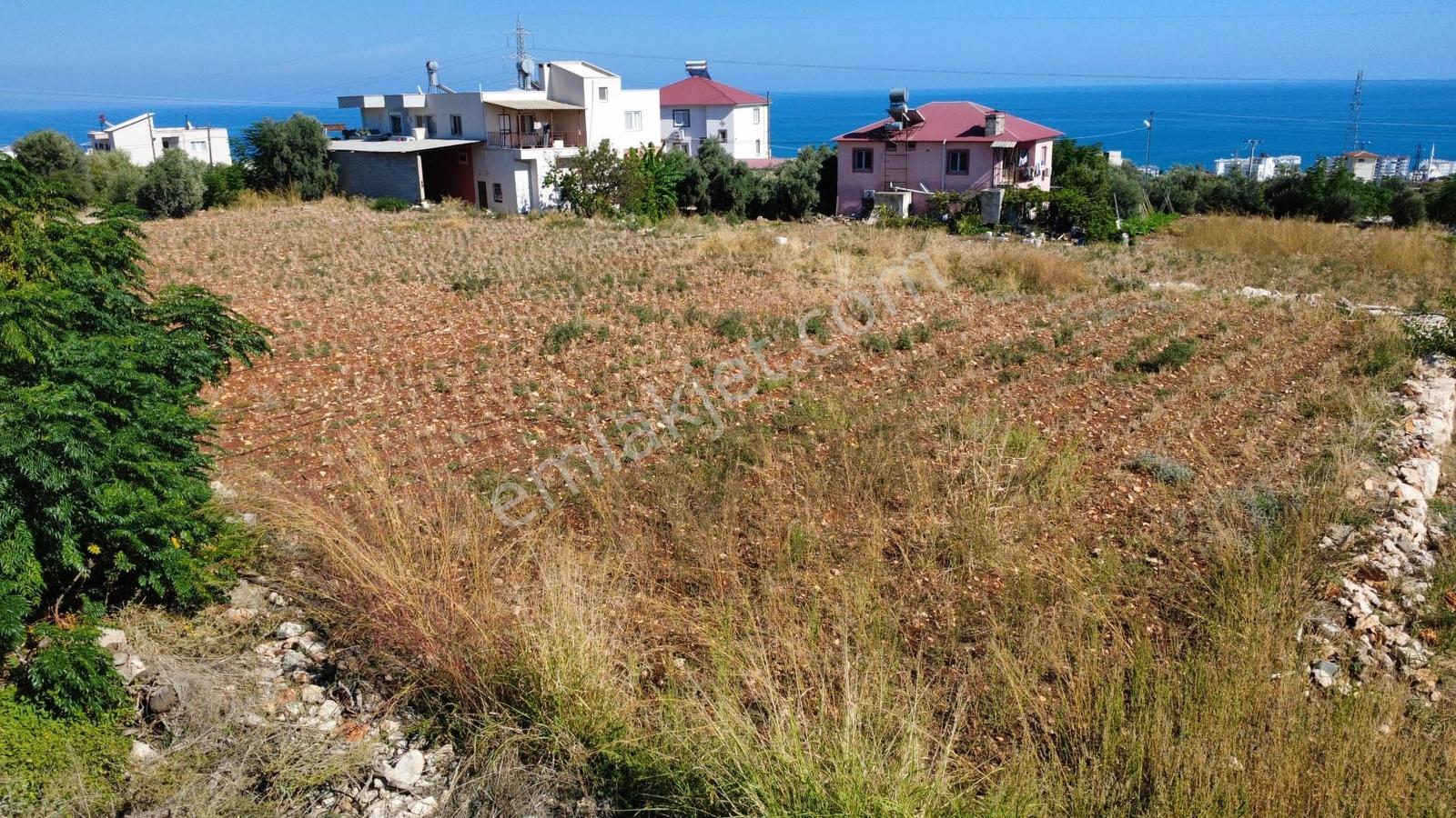 Erdemli Tırtar Satılık Villa İmarlı 2 Dönüm Deniz Manzaralı Arsa — fotoğraf 3