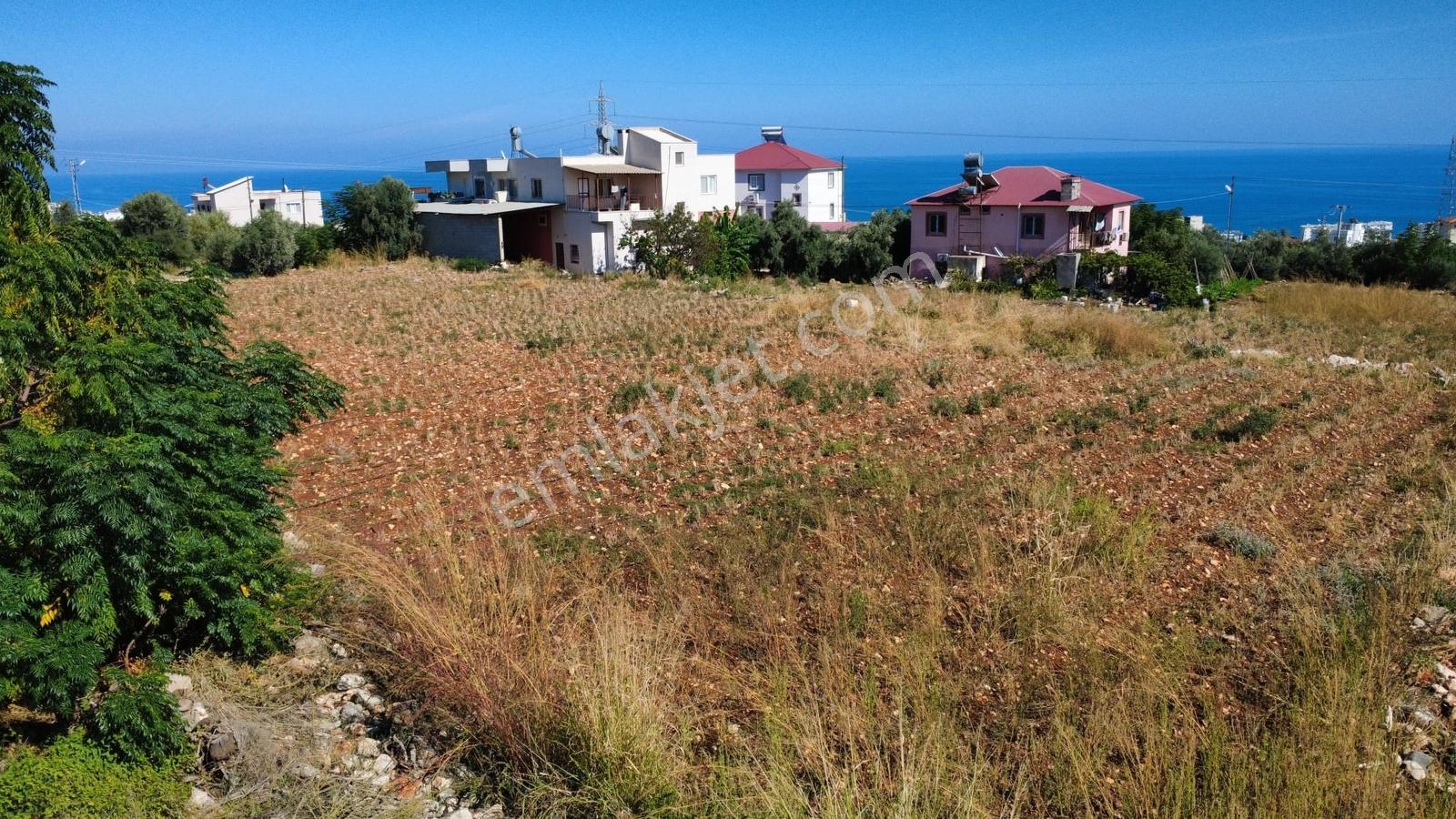 Erdemli Tırtar Satılık Villa İmarlı 2 Dönüm Deniz Manzaralı Arsa — fotoğraf 4