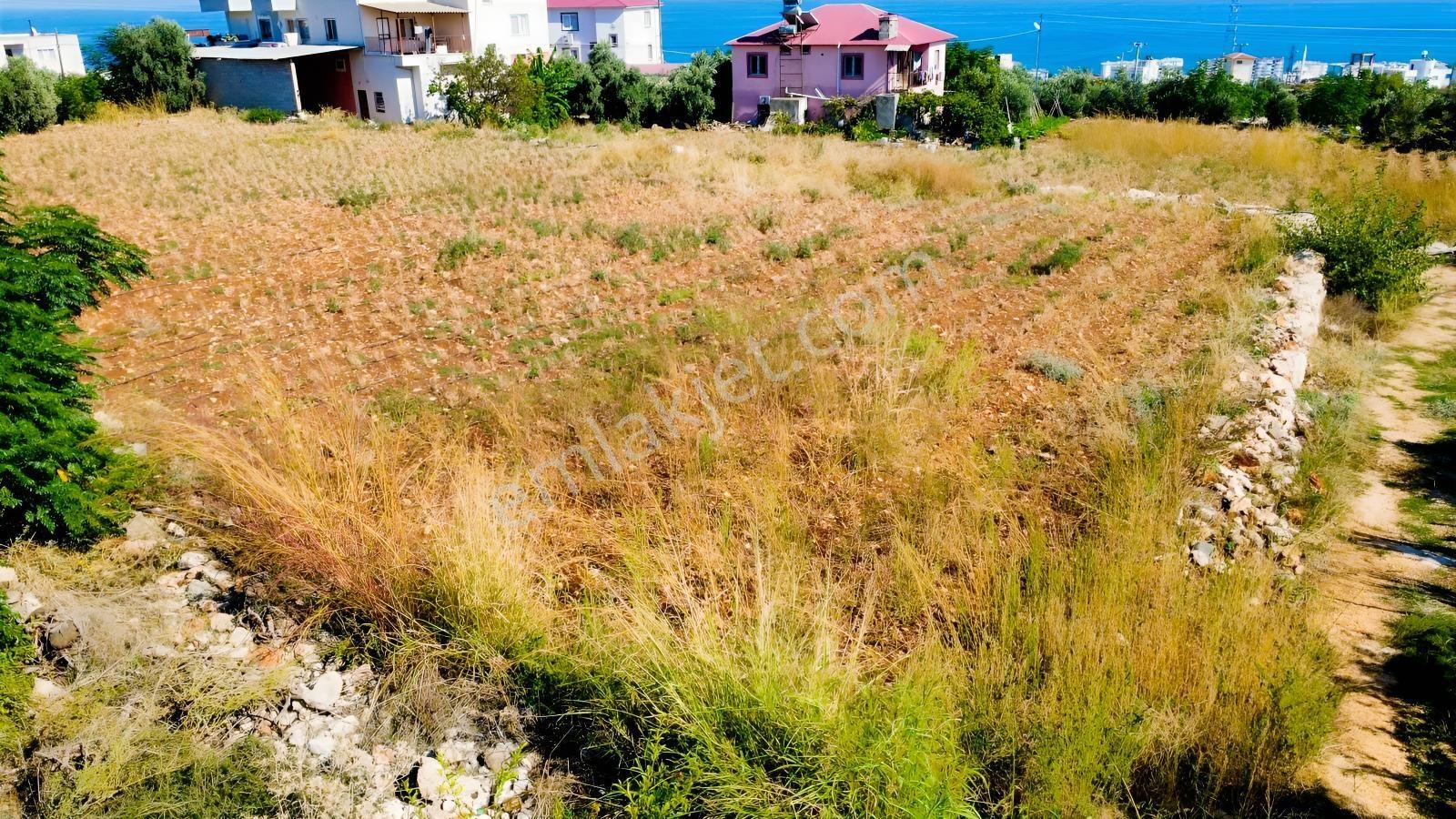 Erdemli Tırtar Satılık Villa İmarlı 2 Dönüm Deniz Manzaralı Arsa — fotoğraf 7