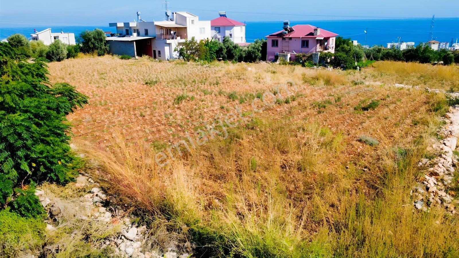 Erdemli Tırtar Satılık Villa İmarlı 2 Dönüm Deniz Manzaralı Arsa — fotoğraf 8