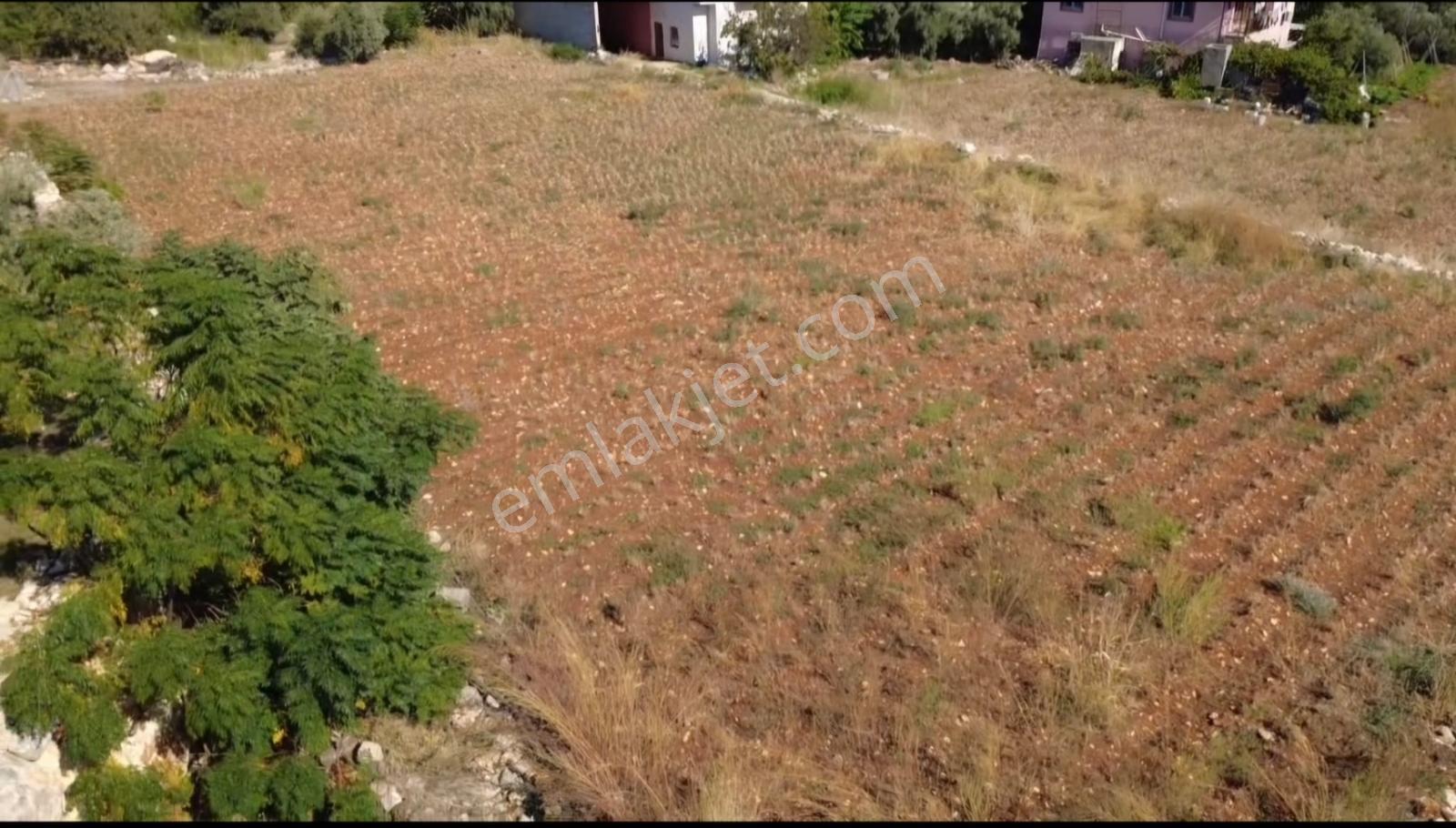 Erdemli Tırtar Satılık Villa İmarlı 2 Dönüm Deniz Manzaralı Arsa — fotoğraf 16