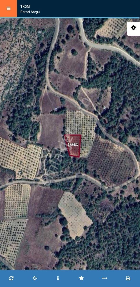 Doğubey'Den Bursa Keles Belenören De Satılık Arazi