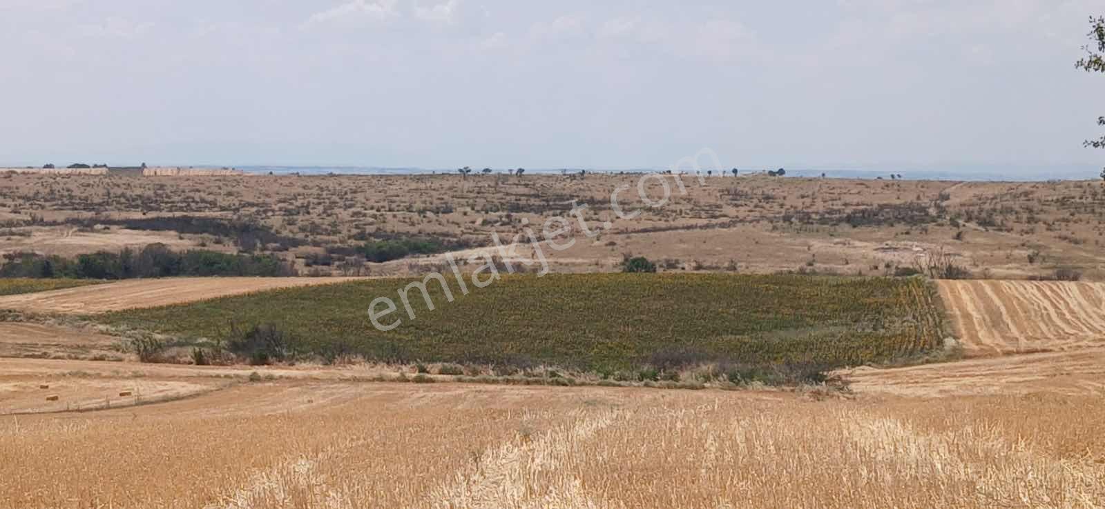 Edirne Orhaniye Mh. 8520 M. Tarla Yatırıma Uygun Satılık
