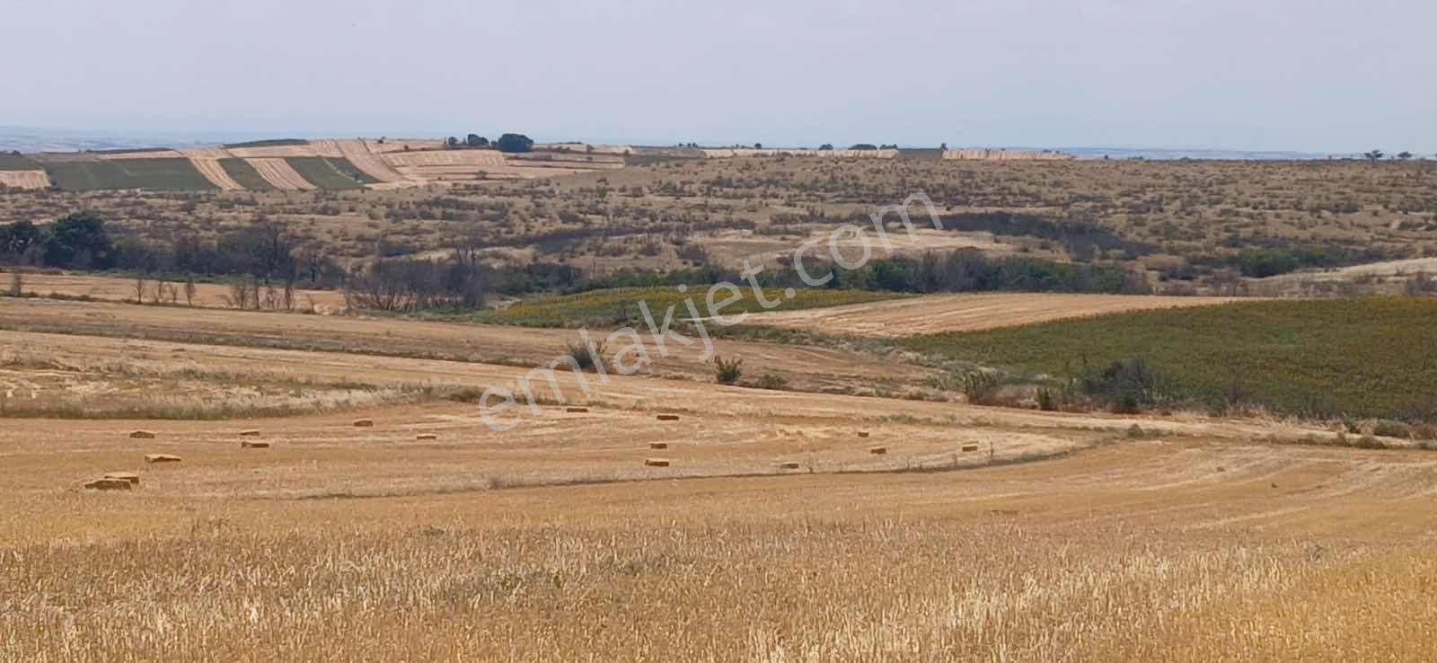 Edirne Orhaniye Mh. 8520 M. Tarla Yatırıma Uygun Satılık — fotoğraf 2