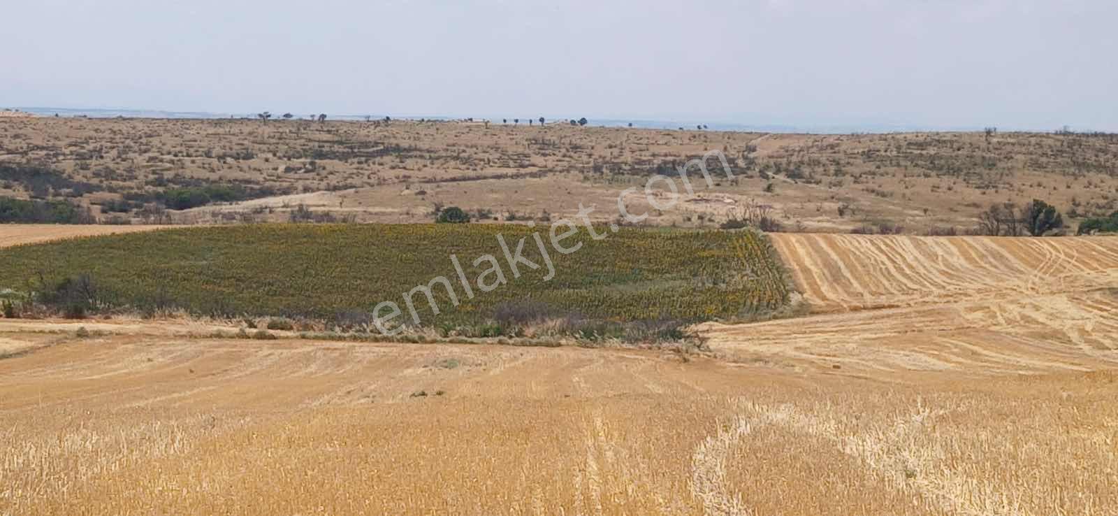 Edirne Orhaniye Mh. 8520 M. Tarla Yatırıma Uygun Satılık — fotoğraf 3