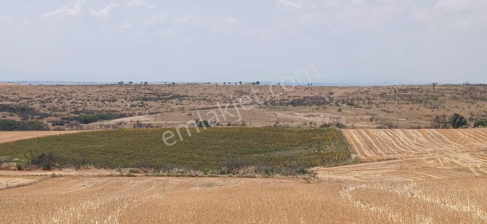 Edirne Orhaniye Mh. 8520 M. Tarla Yatırıma Uygun Satılık — fotoğraf 8