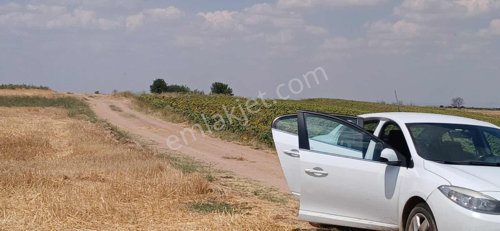 Edirne Orhaniye Mh. 8520 M. Tarla Yatırıma Uygun Satılık — fotoğraf 9
